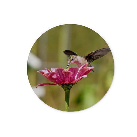 Hummingbird Hug Glass Chopping Board