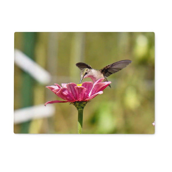 Hummingbird Hug Glass Chopping Board