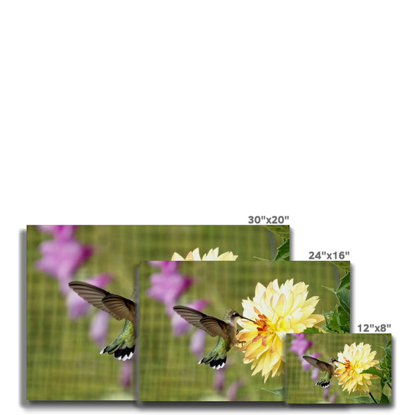 Flower Flame Hummingbird Eco Canvas