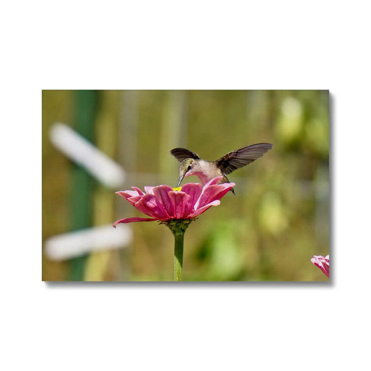 Hummingbird Hug Eco Canvas