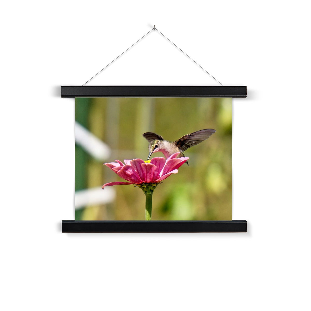Hummingbird Hug Fine Art Print with Hanger