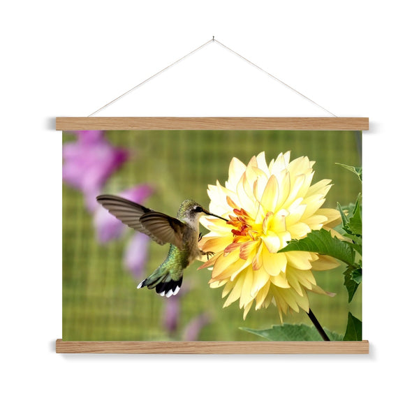 Flower Flame Hummingbird Fine Art Print with Hanger