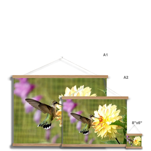 Flower Flame Hummingbird Fine Art Print with Hanger