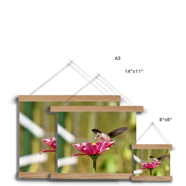 Hummingbird Hug Fine Art Print with Hanger