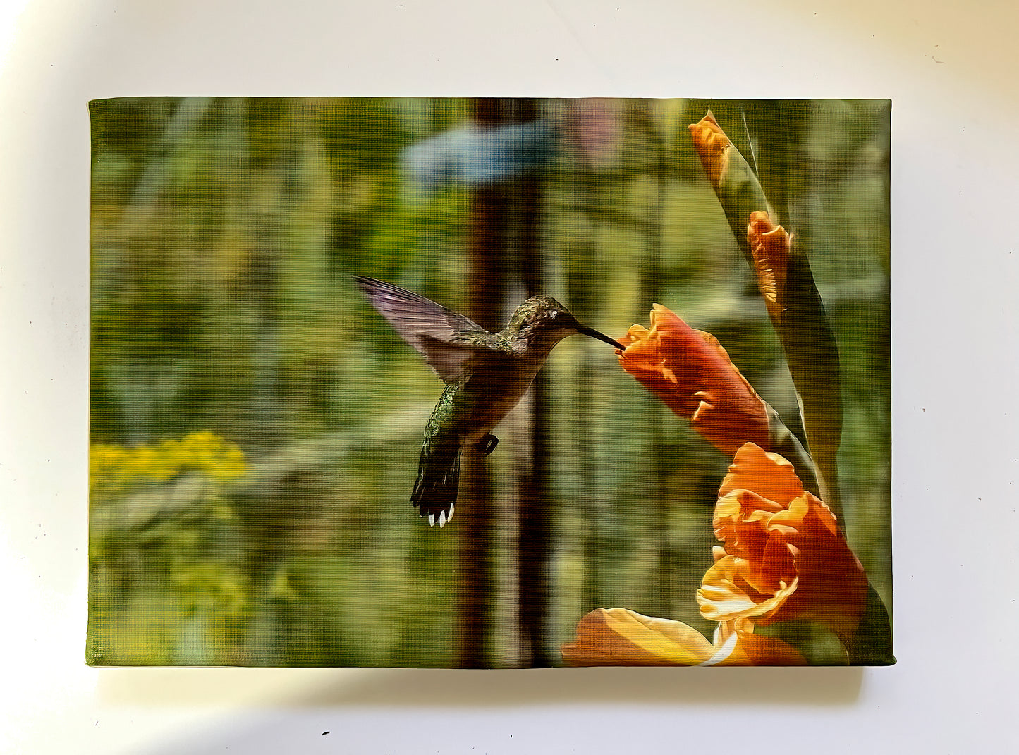 Orange Glad Tidings Joy Gallery 5x7 Canvas