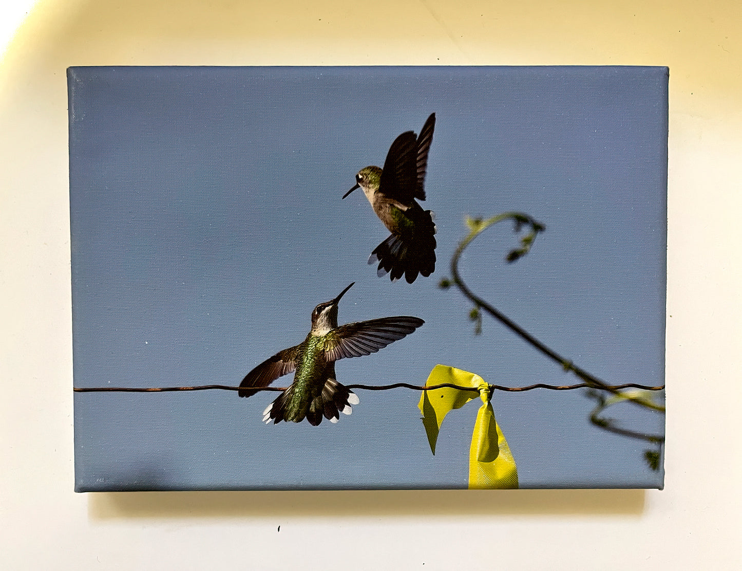 High Wire Friends Gallery 5x7 Canvas