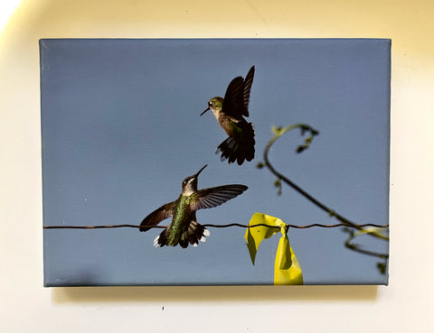 High Wire Friends Gallery 5x7 Canvas