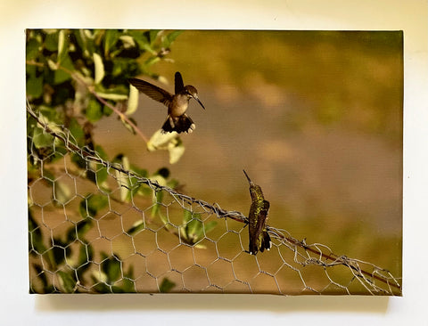 Grand Arrival Gallery 5x7 Canvas