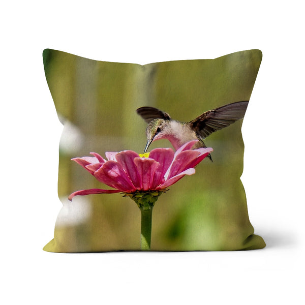 Hummingbird Hug Cushion