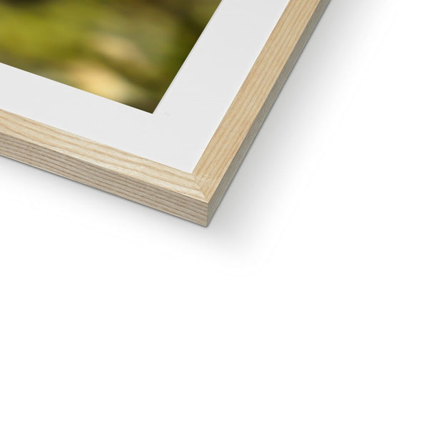 Hummingbird Stretch Framed & Mounted Print