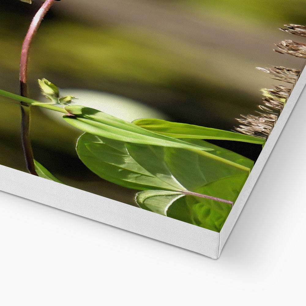 Hummingbird Stretch Eco Canvas