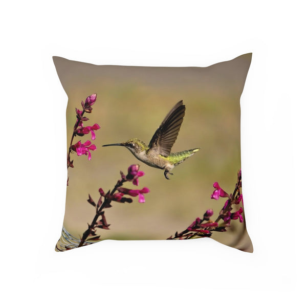 Flying Dart Hummingbird Cushion