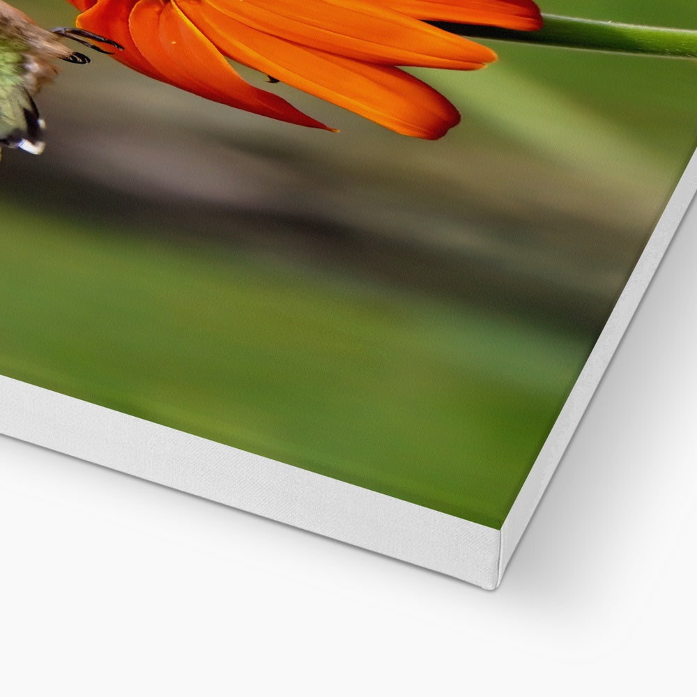 Hummingbird Orange Flower Eco Canvas