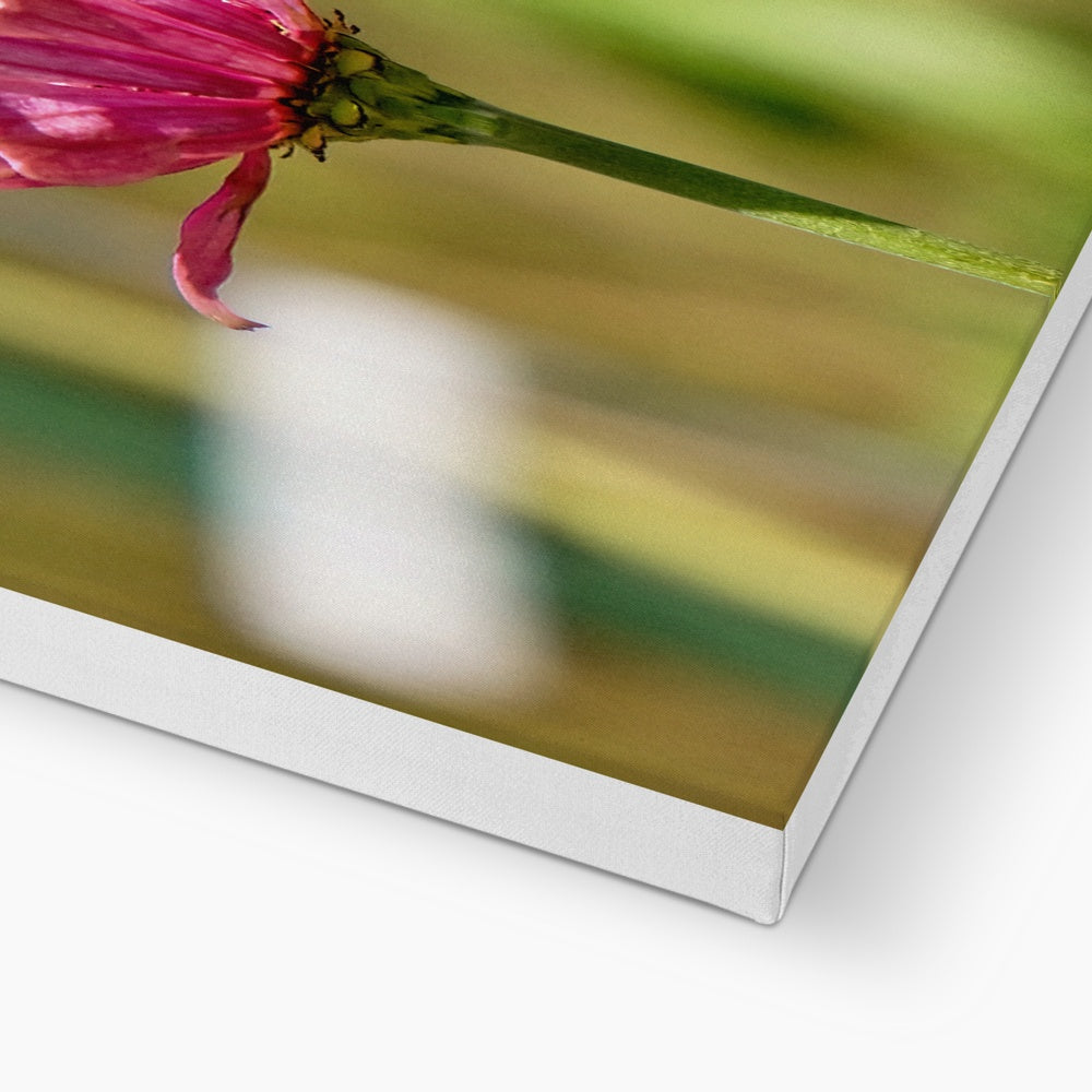 Hummingbird Hug Eco Canvas