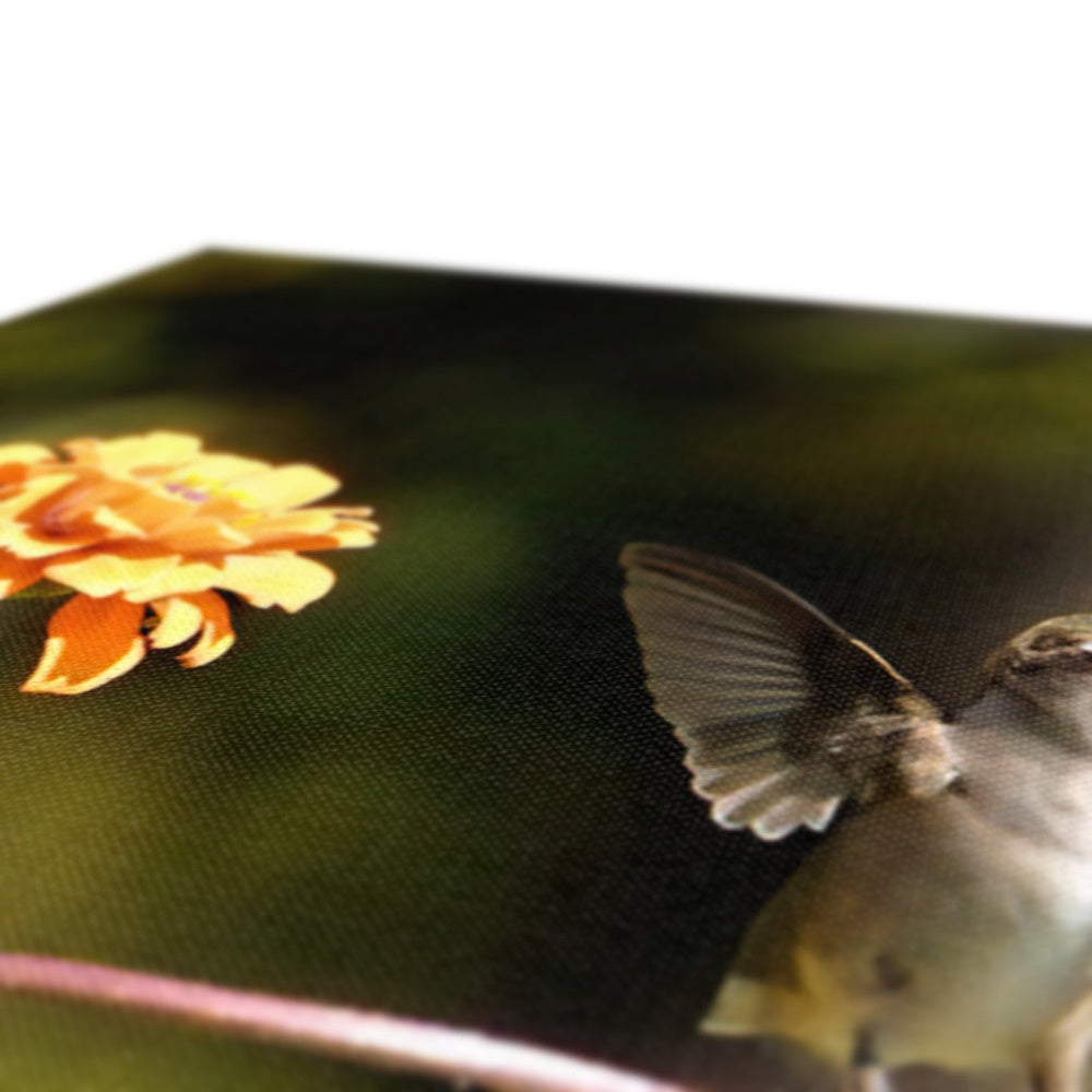 Hummingbird Stretch Canvas