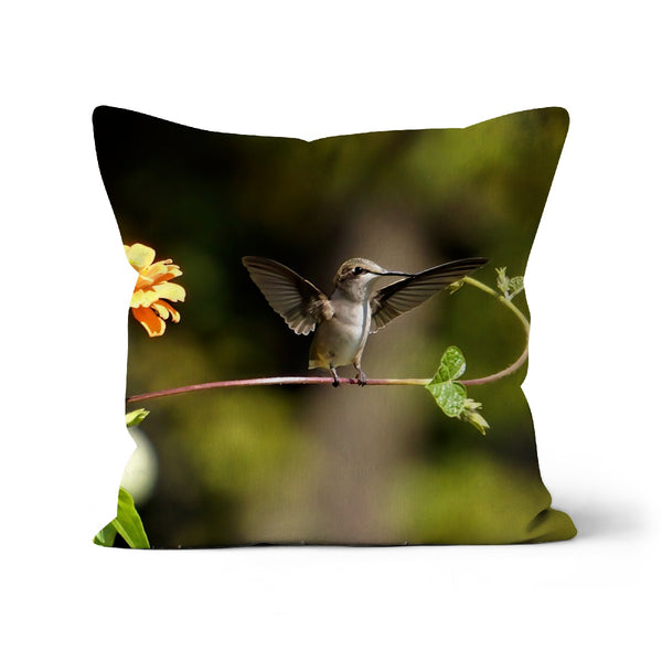 Hummingbird Stretch Cushion