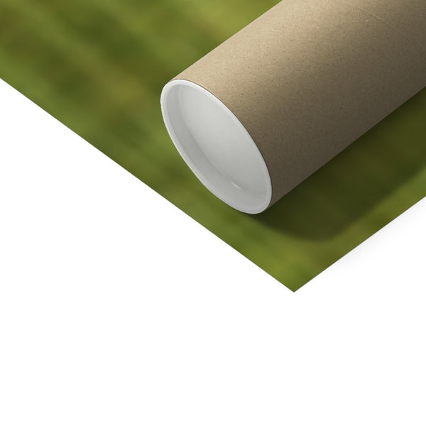 Flower Flame Hummingbird Photo Art Print