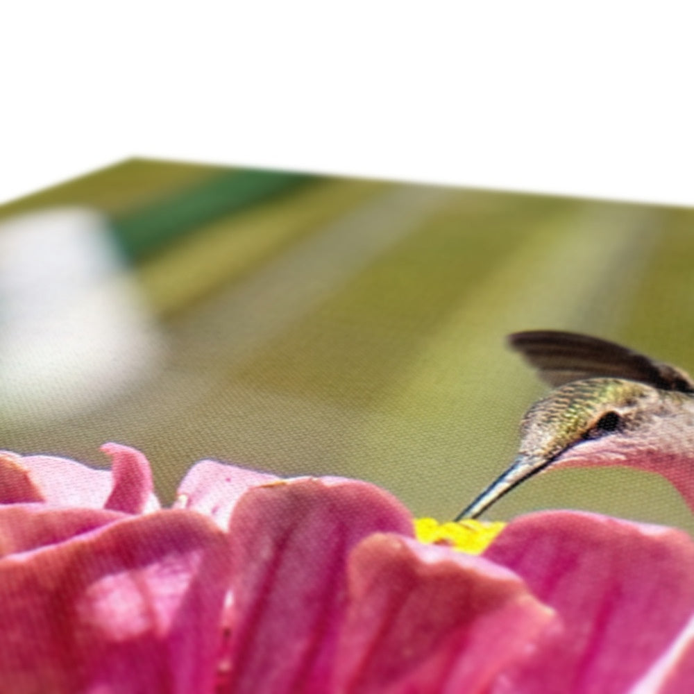 Hummingbird Hug Canvas