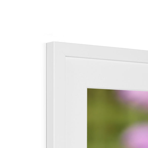 Flower Flame Hummingbird Framed & Mounted Print