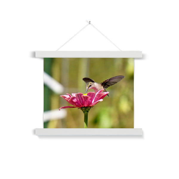 Hummingbird Hug Fine Art Print with Hanger