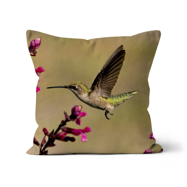 Hummingbird Dart Photography Cushion