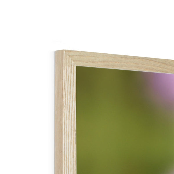 Flower Flame Hummingbird Framed Print