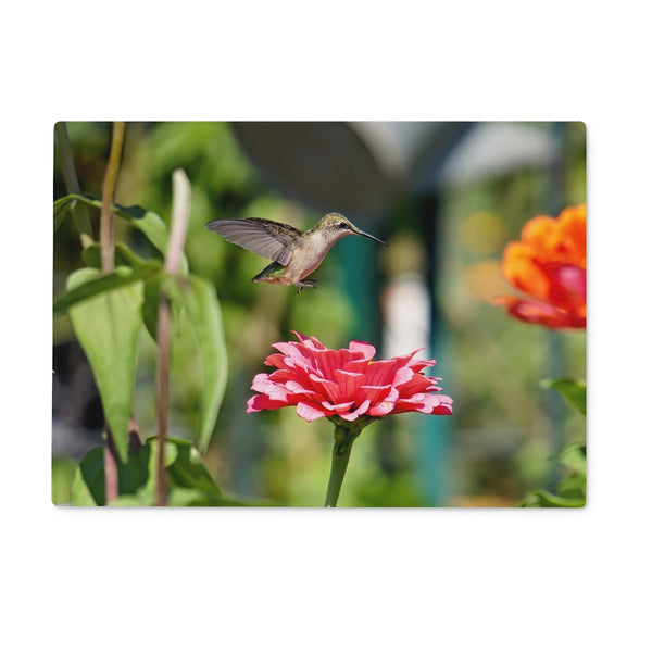 Hummingbird Hop Glass Chopping Board