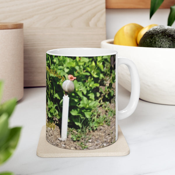 Shines Brightly Hummingbird Ceramic Mug 11oz