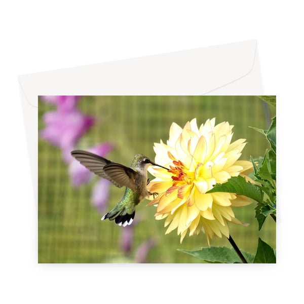 Flower Flame Hummingbird Greeting Card