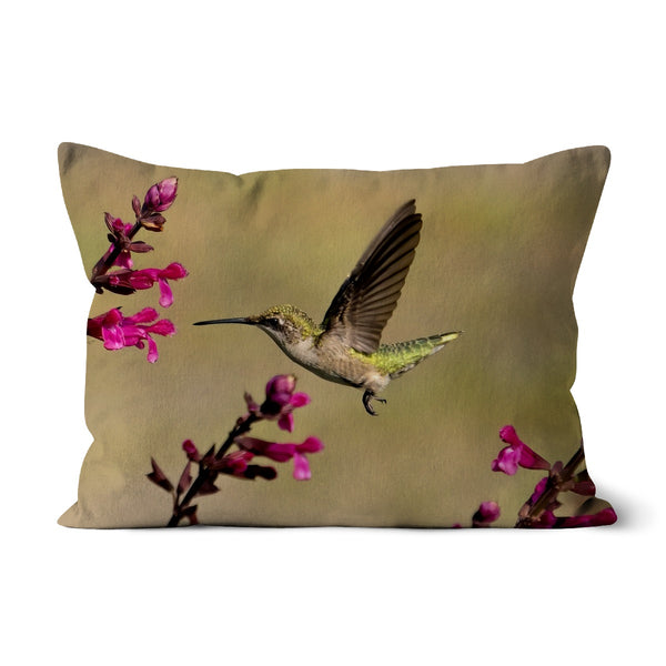 Hummingbird Dart Photography Cushion