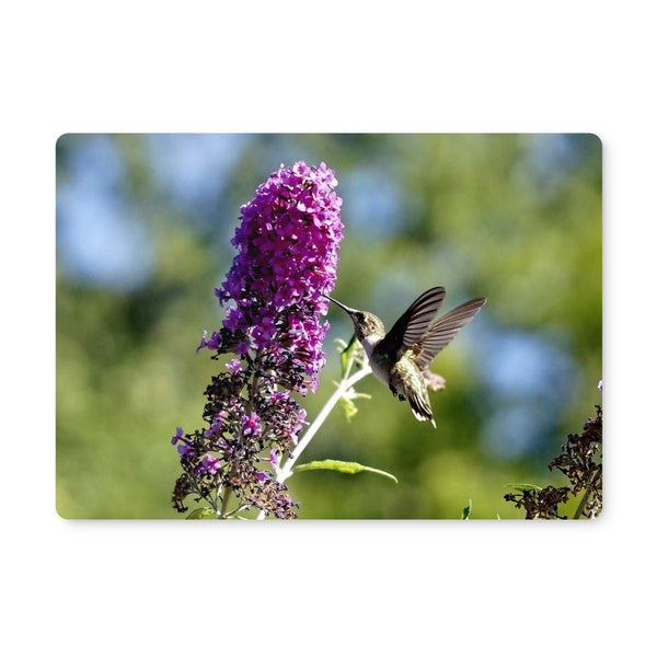 Purple Delight Hummingbird Placemat