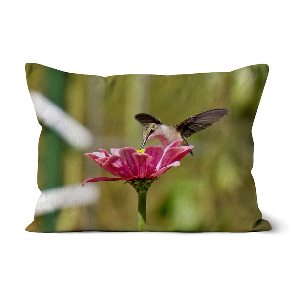 Hummingbird Hug Cushion