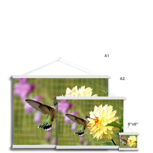 Flower Flame Hummingbird Fine Art Print with Hanger