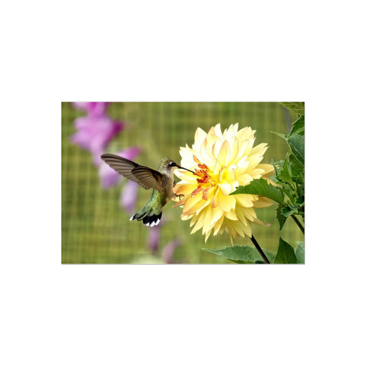 Flower Flame Hummingbird Temporary Tattoo