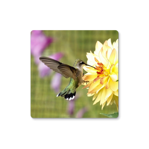 Flower Flame Hummingbird Coaster