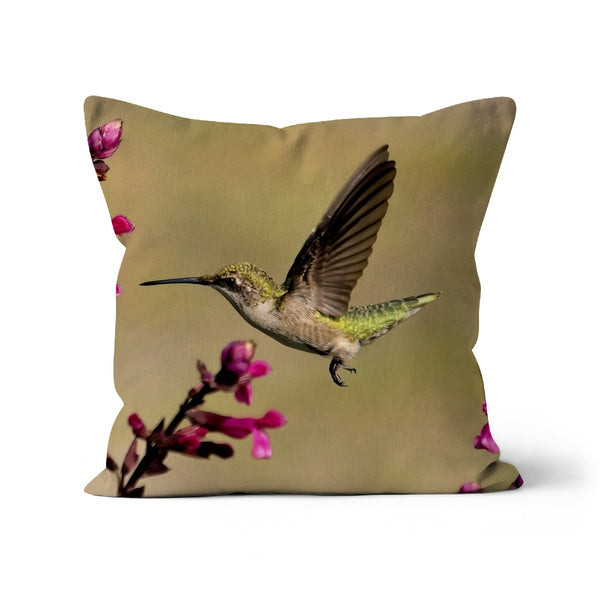 Hummingbird Dart Photography Cushion