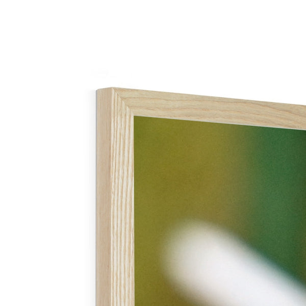 Hummingbird Hug Framed Print