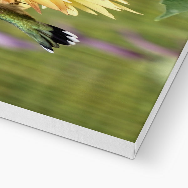 Flower Flame Hummingbird Canvas