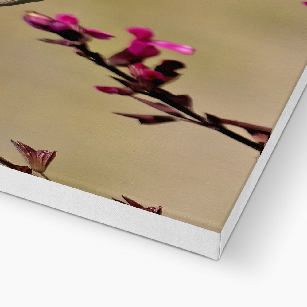 Hummingbird Dart Photography Eco Canvas