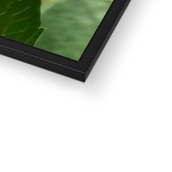 Flower Flame Hummingbird Framed Print