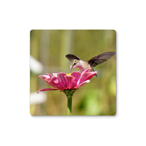 Hummingbird Hug Coaster