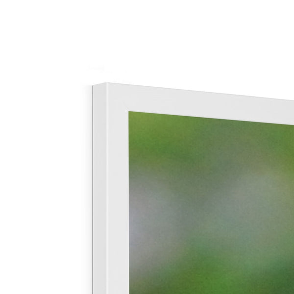 Hummingbird Buds Framed Print