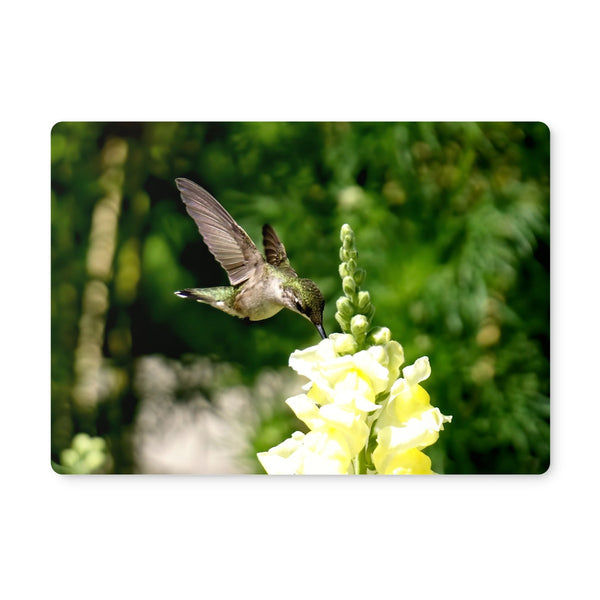 Snappy Light Hummingbirds Placemat