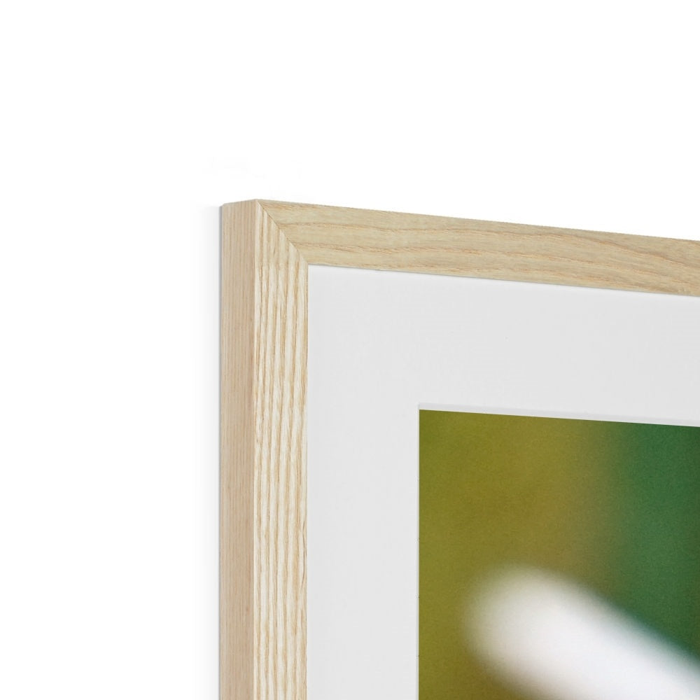 Hummingbird Hug Framed & Mounted Print
