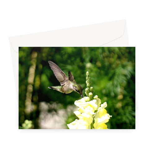 Snappy Light Hummingbirds Greeting Card