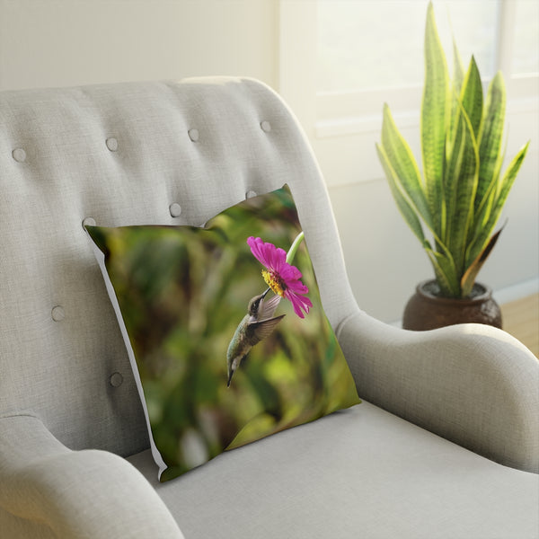 Bright Delights Hummingbird Cushion